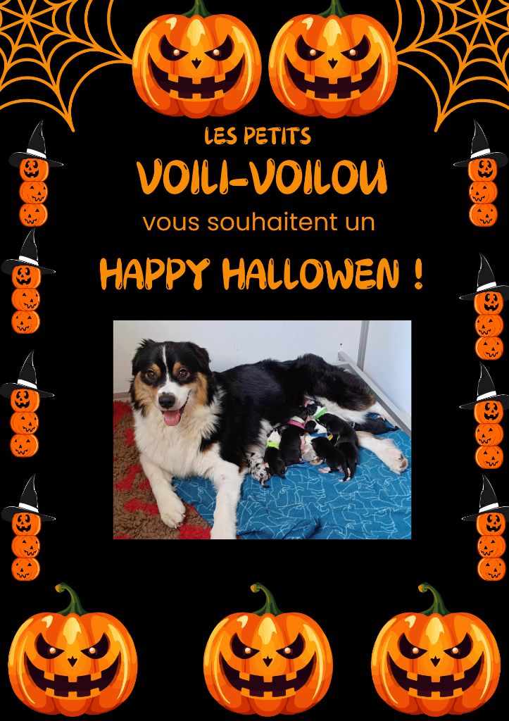 on prépare HALLOWEN ! 