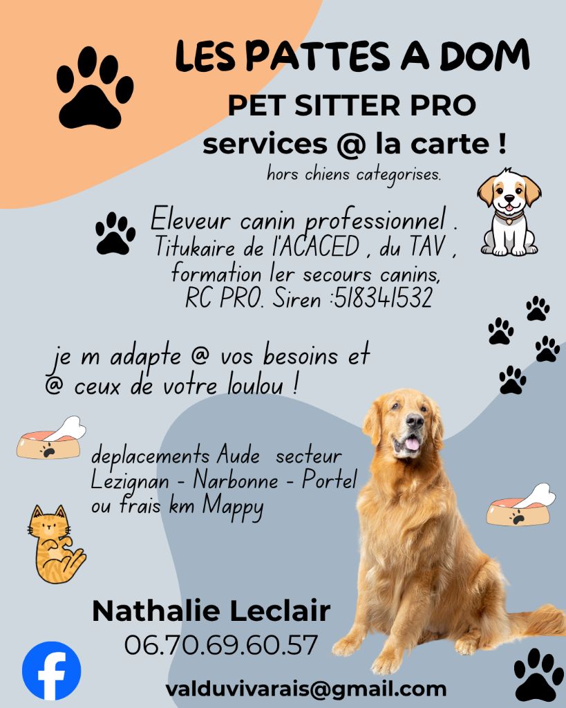 *******PET SITTER*********